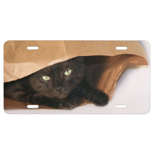The cat's in the bag license plate