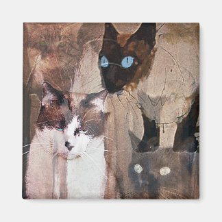 The Cats Magnet