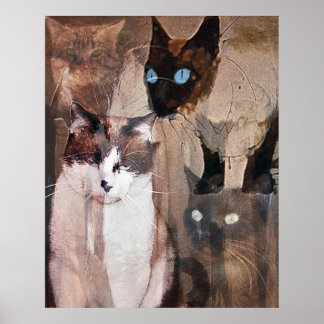 The Cats Poster