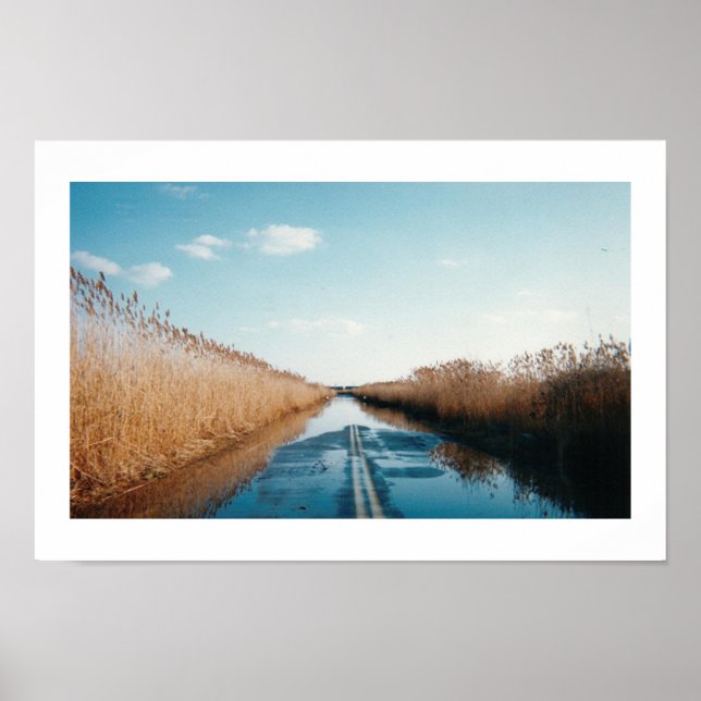 The Causeway Poster (Front)