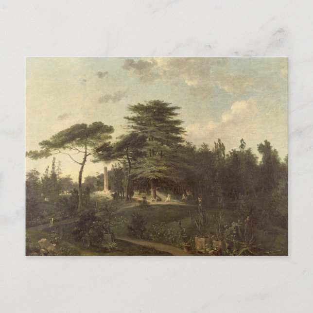 The Cedar of Lebanon in the Jardin des Plantes Postcard (Front)
