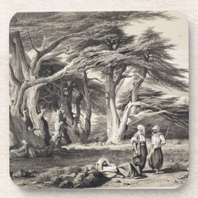 The Cedars of Lebanon, engraved by Freeman (sepia Beverage Coaster (Front)