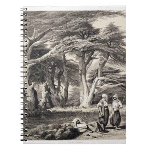 The Cedars of Lebanon engraved by Freeman sepia Notebook