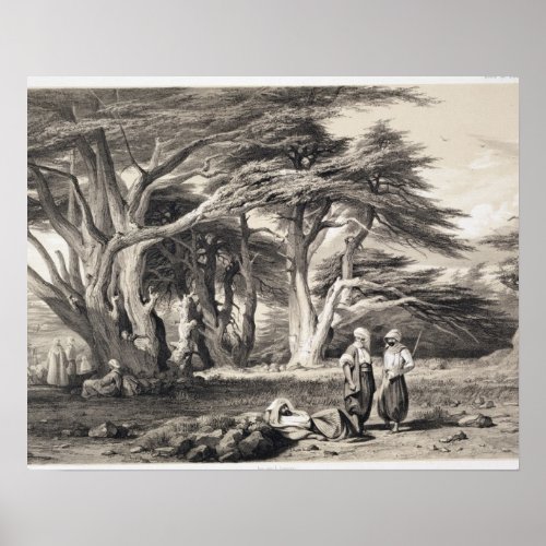The Cedars of Lebanon engraved by Freeman sepia Poster