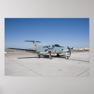 The Centennial of Naval Aviation Commemorative Poster