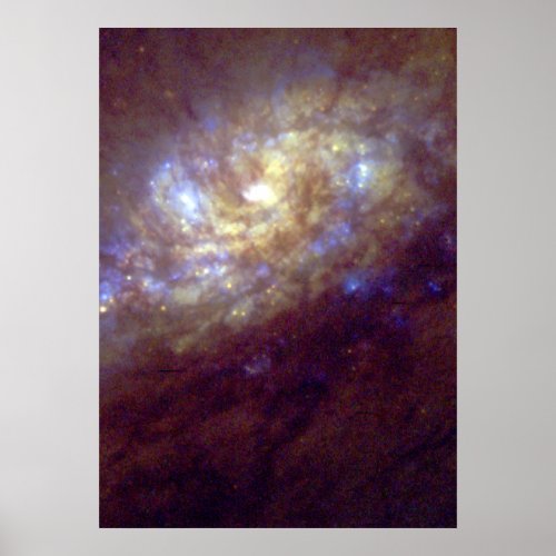 The Center of Barred Spiral Galaxy NGC 1808 Poster