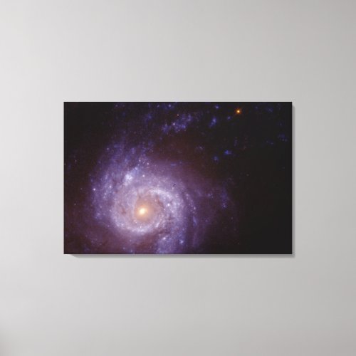 The Central Region Canvas Print