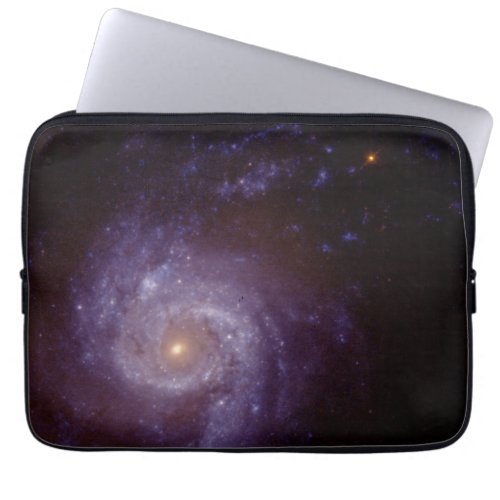 The Central Region Laptop Sleeve