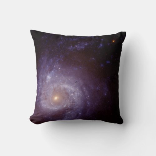 The Central Region Throw Pillow