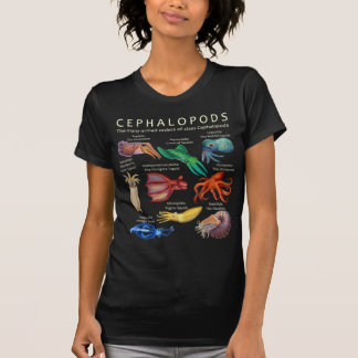 The Cephalopod Octopus Squid Cuttlefish and Nautil T-Shirt