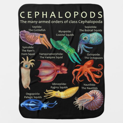 The Cephalopod Octopus Squid Cuttlefish Baby Blanket