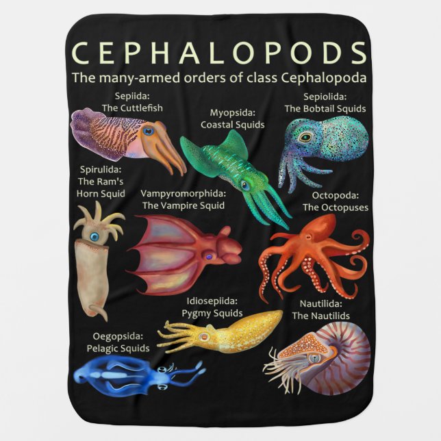 The Cephalopod Octopus Squid Cuttlefish Baby Blanket (Front)