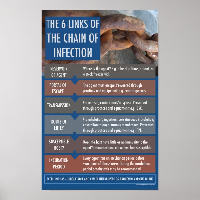 The chain of Inflectional Educational Poster (Front)