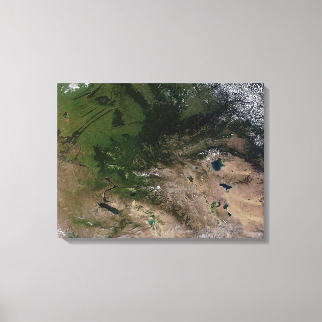The change in vegetation canvas print (Front)