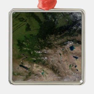 The change in vegetation metal ornament