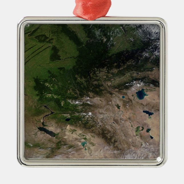 The change in vegetation metal ornament (Front)