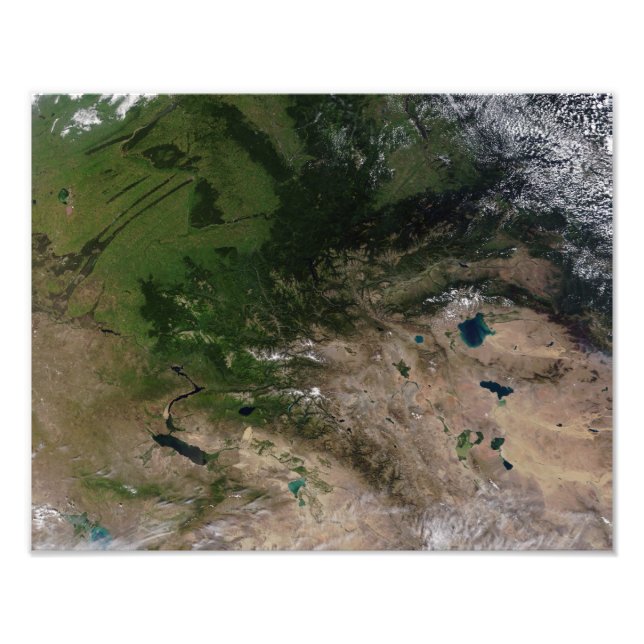 The change in vegetation photo print (Front)