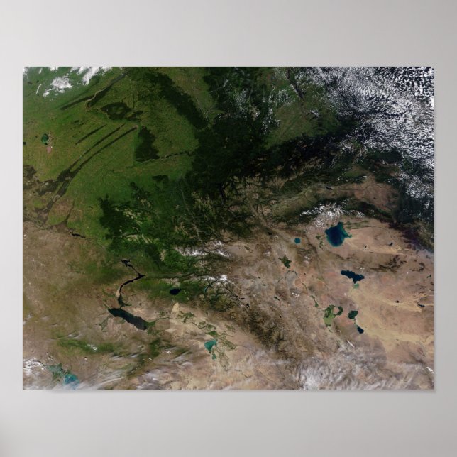 The change in vegetation poster (Front)