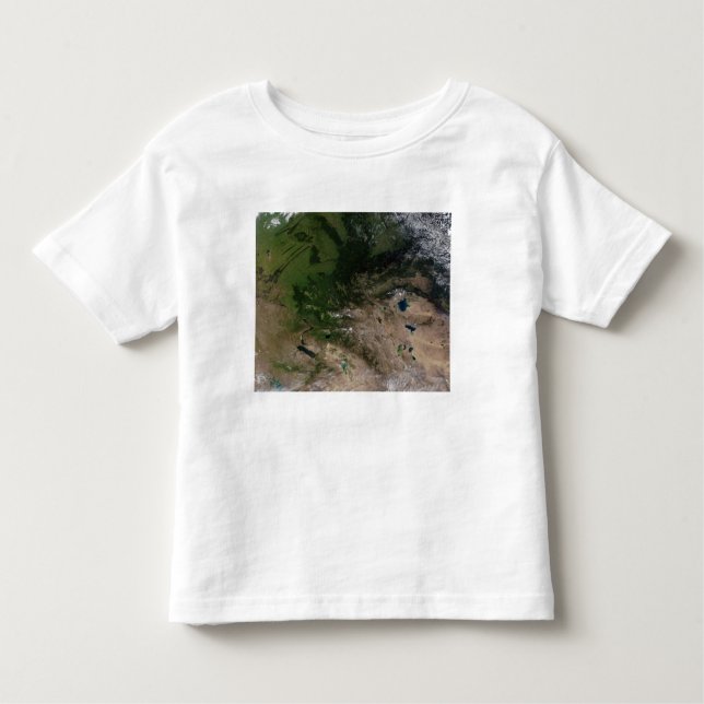 The change in vegetation toddler t-shirt (Front)