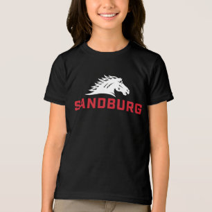 The Charger Spirit Tri-Blend Shirt