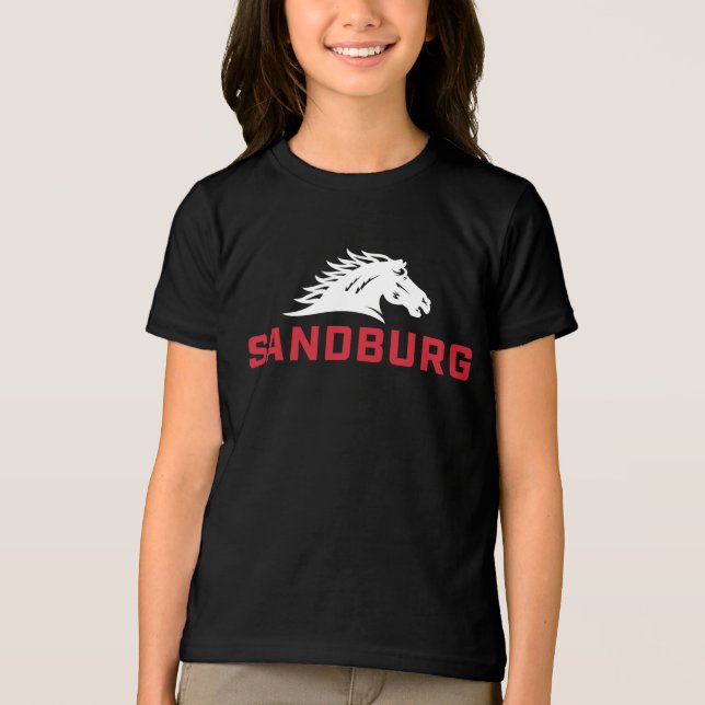 The Charger Spirit Tri-Blend Shirt (Front)