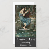 The Charmer (Front/Back)