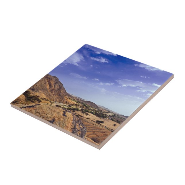 The charming beauty of desert nature under a blue  ceramic tile (Side)