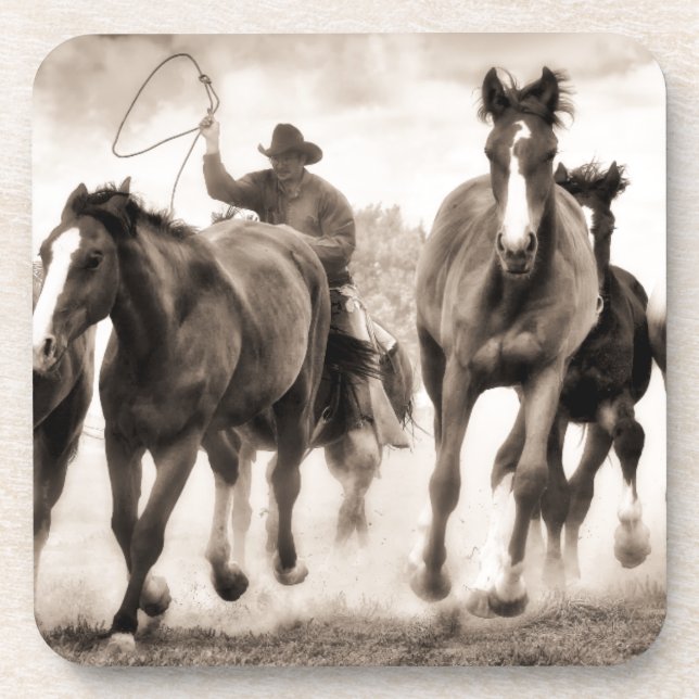 The Chase I Coaster (Front)