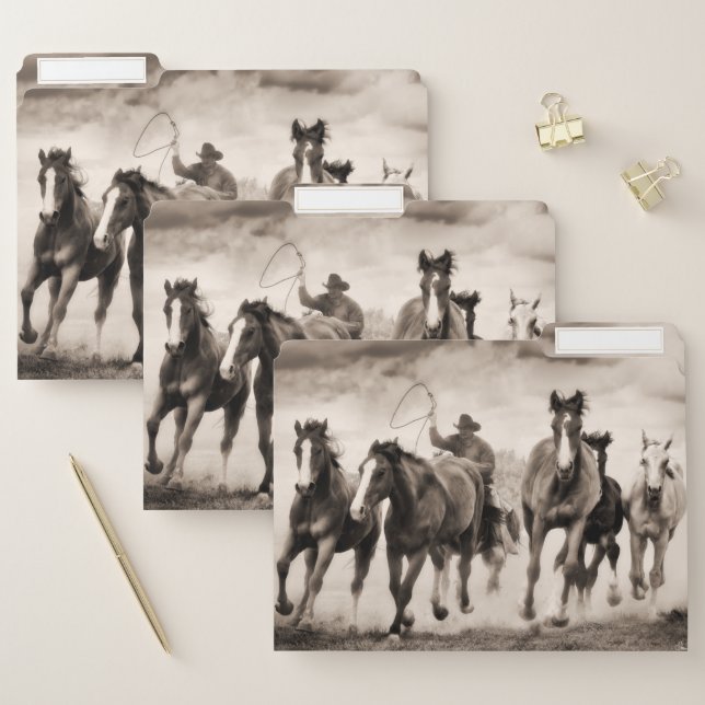 The Chase I File Folder (Set)