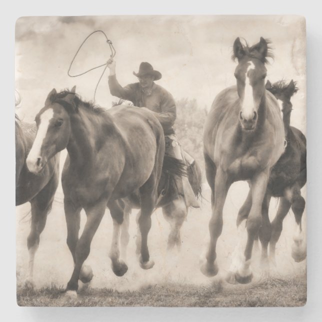 The Chase I Stone Coaster (Front)