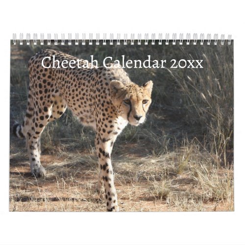 The Cheetah Acinonyx Jubatus Calendar