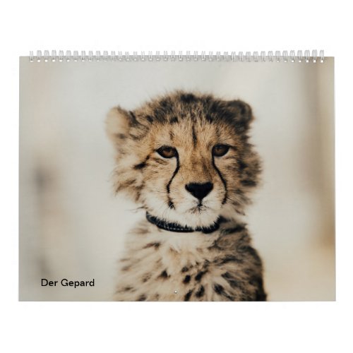 The Cheetah Calendar