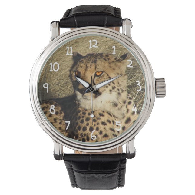 The Cheetah Watch (Front)