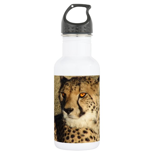 The Cheetah Water Bottle (Front)