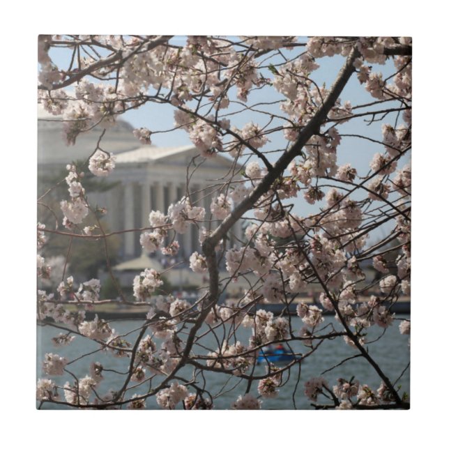 The Cherry Blossoms In Bloom In Washington DC Ceramic Tile (Front)