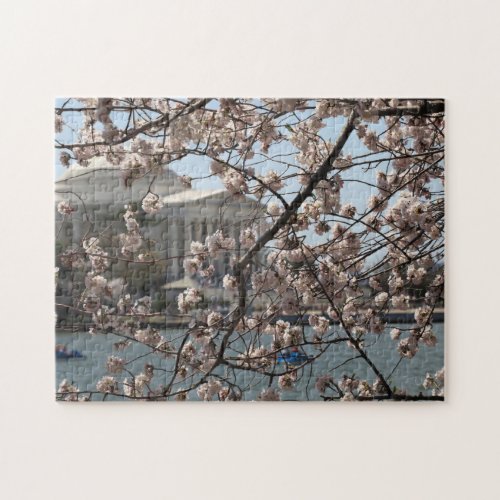 The Cherry Blossoms In Bloom In Washington DC Jigsaw Puzzle