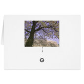 The cherry tree in Japan 1 Cards (Back Horizontal)
