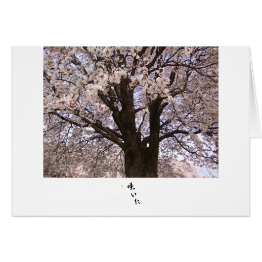 The cherry tree in Japan 1 Cards (Front Horizontal)