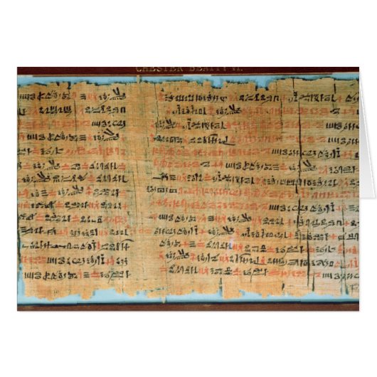 The Chester Beatty Medical Papyrus (Front Horizontal)