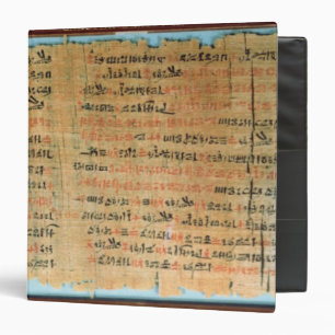 The Chester Beatty Medical Papyrus Binder