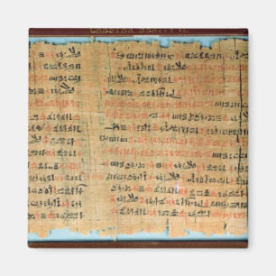The Chester Beatty Medical Papyrus Magnet