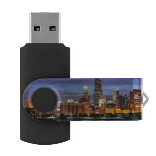 The Chicago skyline from the Adler Planetarium Flash Drive