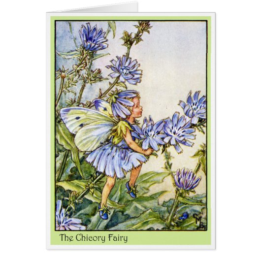 The Chicory Fairy Cards (Front)