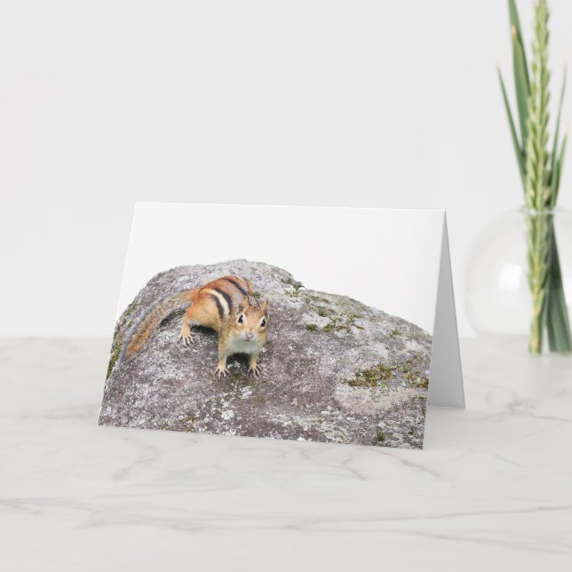 The chipmunk card (Front)