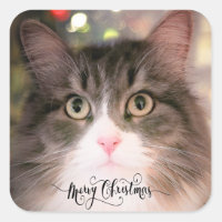 The Christmas Cat Envelope Stickers