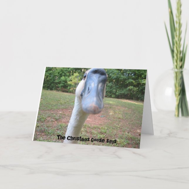 The Christmas Goose says, Holiday Card (Front)