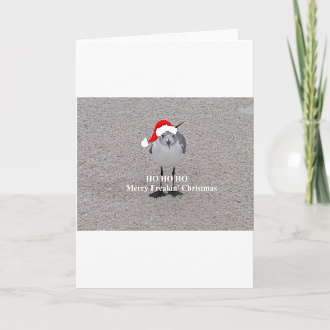 The Christmas Gull Holiday Card (Front)