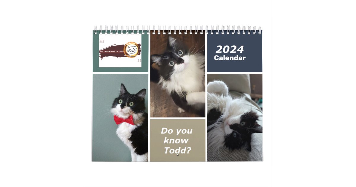 The Chronicles of Todd 2024 Calendar Zazzle