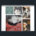 The Chronicles of Todd 2025 Calendar<br><div class="desc">The Chronicles of Todd 2025 Calendar.  Todd is a cat who talks with the help of recordable buttons.  He is an amazingly sweet and intelligent boy.</div>