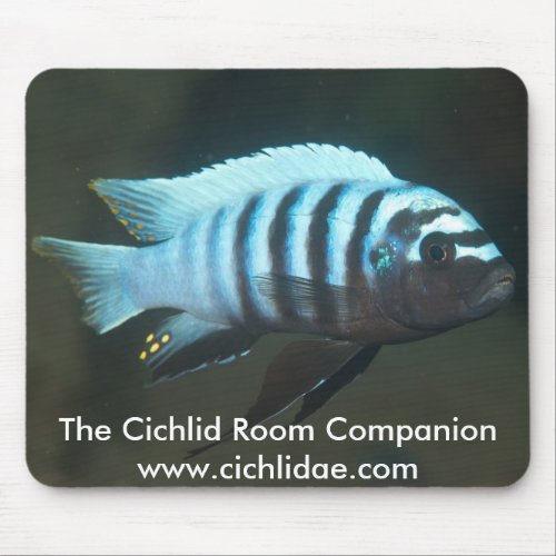 The Cichlid Room Companion _ Metriaclima zebra Mouse Pad